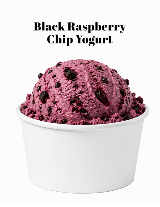 01-Black-Raspberry-Chip-Yogurt