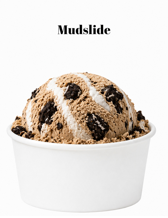 20-Mudslide