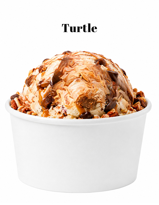 28-Turtle
